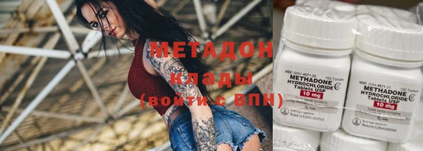 прущие грибы Медногорск