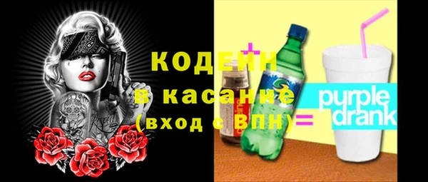 шишки Долгопрудный