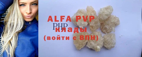 прущие грибы Медногорск