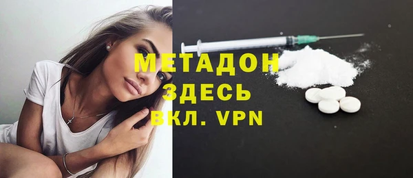 прущие грибы Медногорск