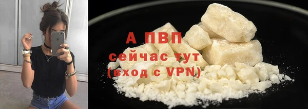 прущие грибы Медногорск