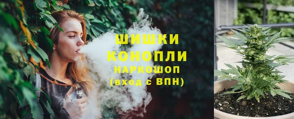 прущие грибы Медногорск