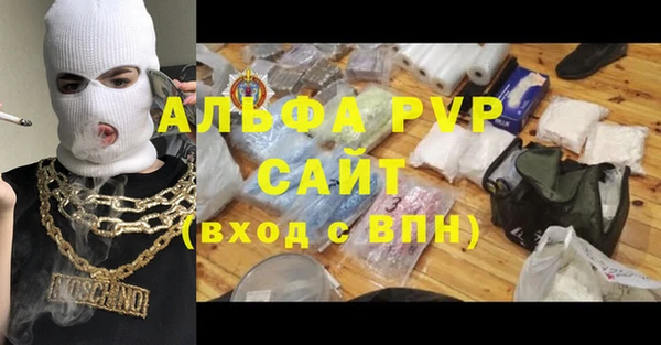 прущие грибы Медногорск
