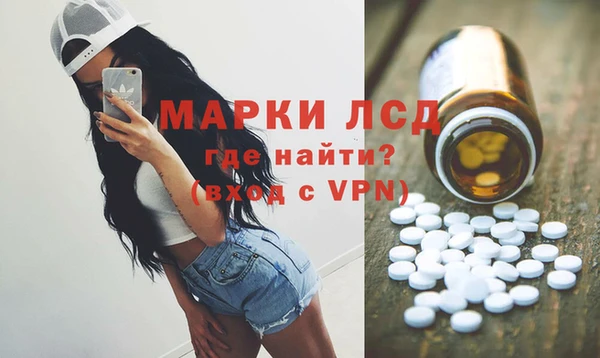 прущие грибы Медногорск